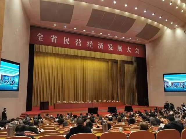 弄潮儿荣誉出席全省民营经济发展大会