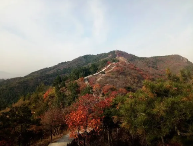 1591077361041.png image.png