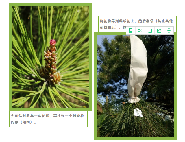 1591077461837.png image.png