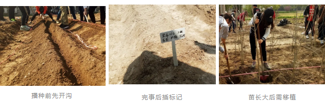 1591077518211.png image.png