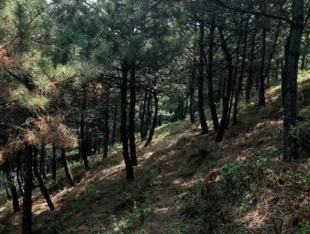 1591077599348.png image.png