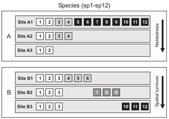 640.webp (9).jpg