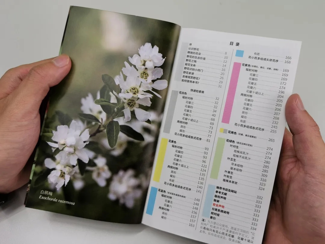 640.webp (3).jpg