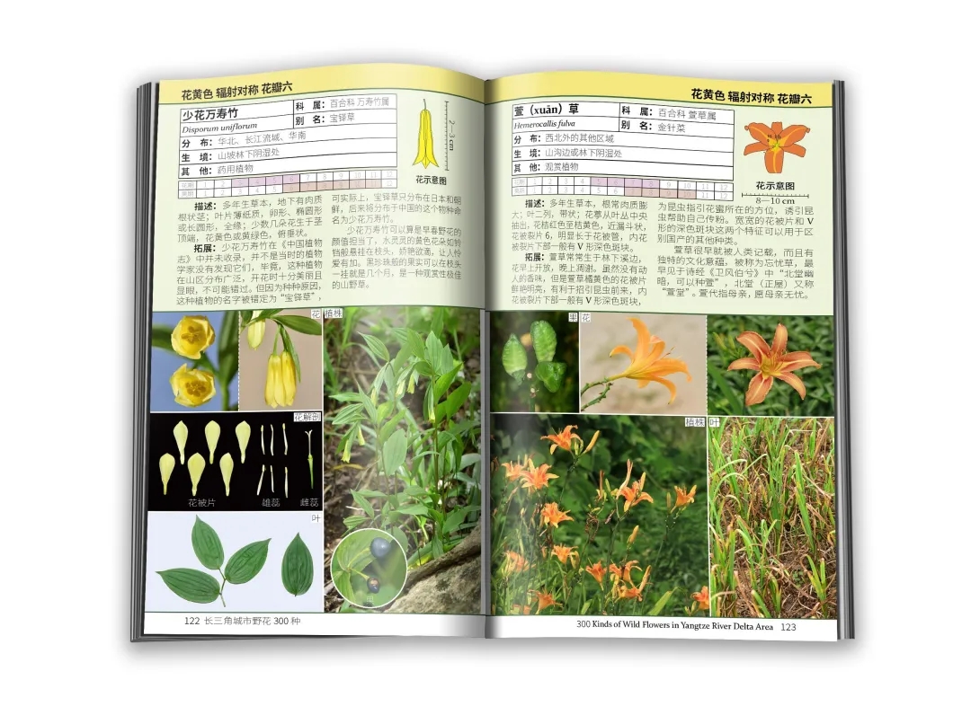 640.webp (1).jpg