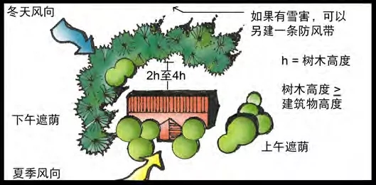 1603879812536.jpg 3.jpg
