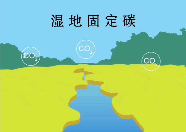 640 (1).png