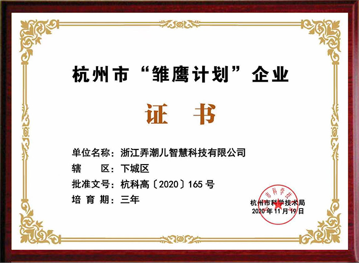 杭州市“雏鹰计划”企业证书