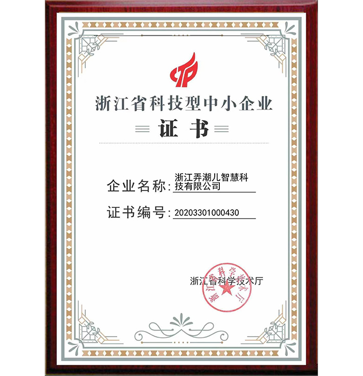 浙江省科技型中小企业证书