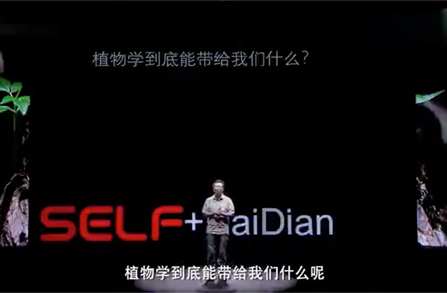 审视植物世界会发现，植物告诉我们的是一个关于平等的故事