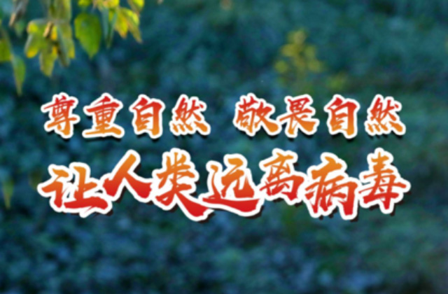 保护野生动物 维护全球生命共同体