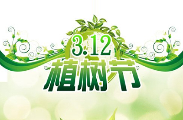 植树节：人与树之间的生命史诗！