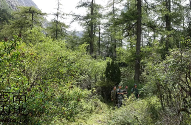 王朗：岷山秘境