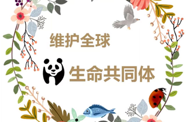 保护植物多样性 维护全球生命共同体第十二期中国禾本科植物