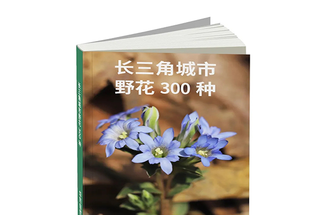 重磅！《长三角城市野花300种》开放申领：华东的野花被我们承包啦！