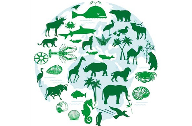维护生物多样性稳定，建设具有活力和韧性的人居环境 ——庆祝第49个世界环境日