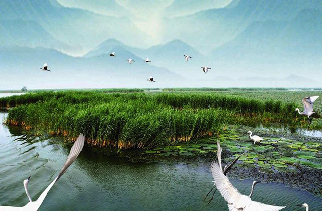Ecology Letters | 生境破碎化对竞争性群落物种多样性的影响
